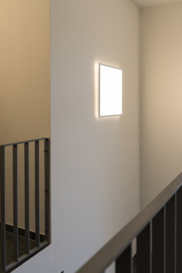 Auf den Punkt Architekten Dresden - Neubau eines Mehrfamilienhauses
